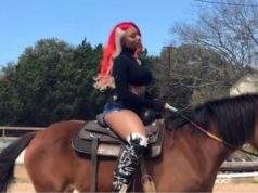 megan thee stallion wiki