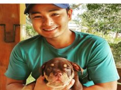 coco martin wiki