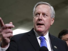 mark meadows wiki