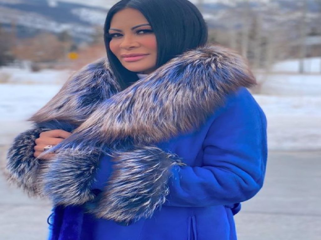 Jen Shah Net Worth, Wiki, Age, Height, Husband, Family