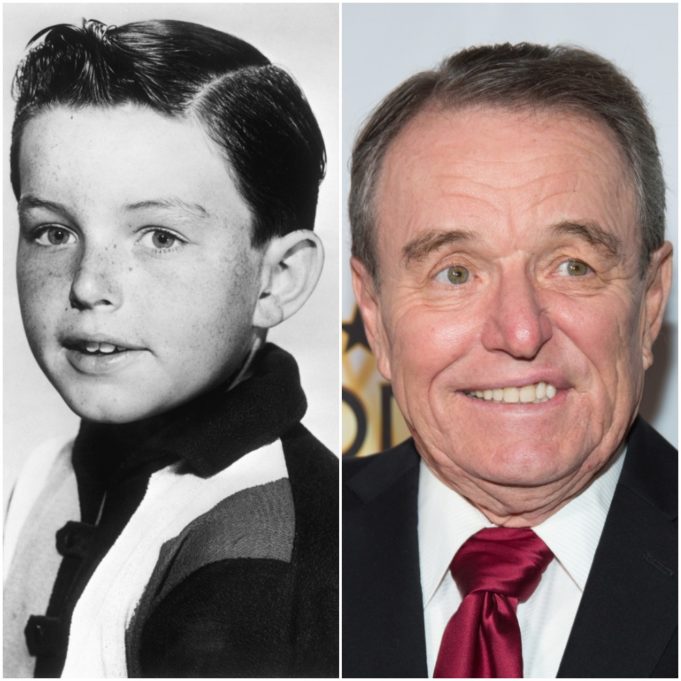 Jerry Mathers Net Worth, Age, Wife, Children, Wiki